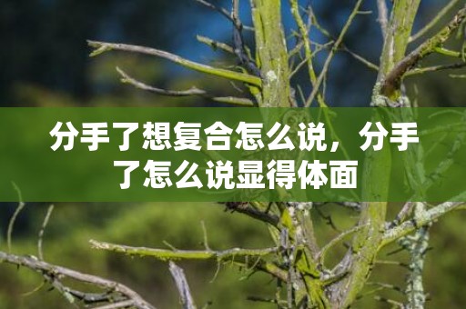 分手了想复合怎么说，分手了怎么说显得体面