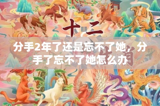 分手2年了还是忘不了她，分手了忘不了她怎么办