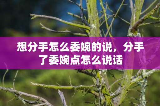 想分手怎么委婉的说，分手了委婉点怎么说话