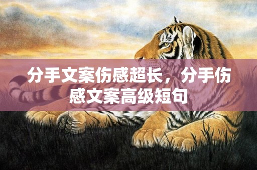 分手文案伤感超长，分手伤感文案高级短句