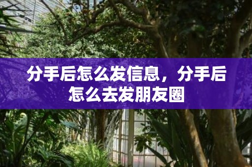 分手后怎么发信息，分手后怎么去发朋友圈