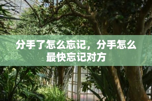 分手了怎么忘记，分手怎么最快忘记对方