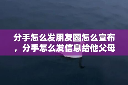 分手怎么发朋友圈怎么宣布，分手怎么发信息给他父母