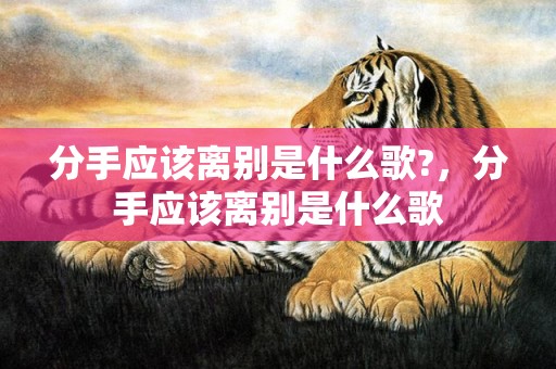 分手应该离别是什么歌?，分手应该离别是什么歌