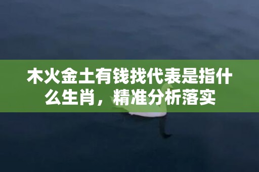 木火金土有钱找代表是指什么生肖，精准分析落实