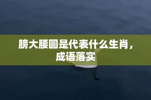 膀大腰圆是代表什么生肖，成语落实