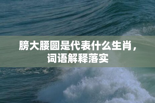 膀大腰圆是代表什么生肖，词语解释落实