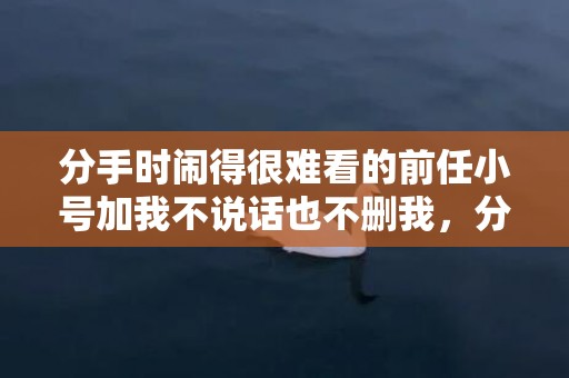 分手时闹得很难看的前任小号加我不说话也不删我，分手时闹得很难看怎么办
