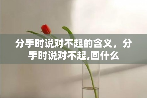 分手时说对不起的含义，分手时说对不起,回什么