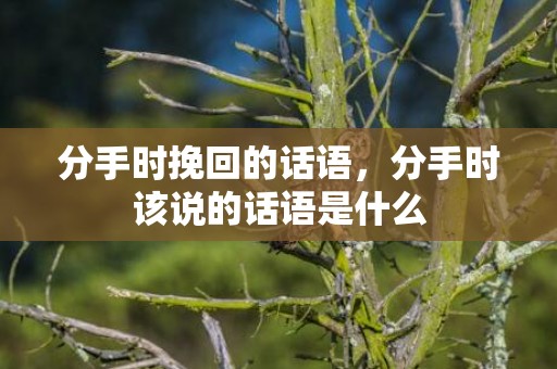 分手时挽回的话语，分手时该说的话语是什么