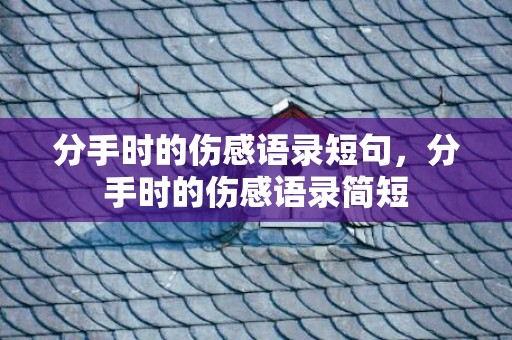 分手时的伤感语录短句，分手时的伤感语录简短