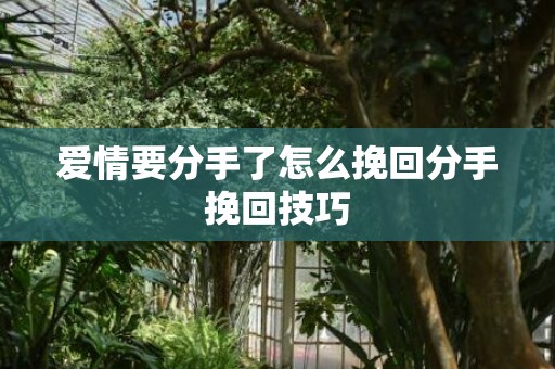 爱情要分手了怎么挽回分手挽回技巧