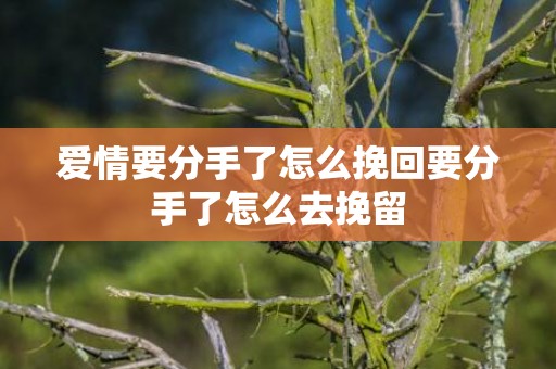 爱情要分手了怎么挽回要分手了怎么去挽留