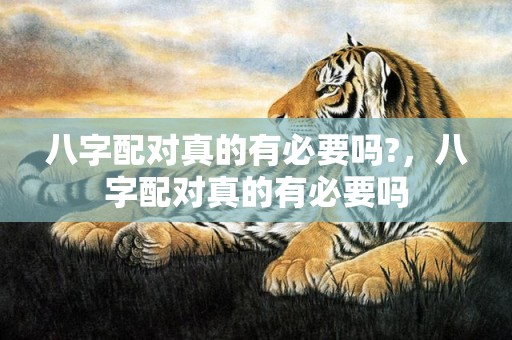 八字配对真的有必要吗?，八字配对真的有必要吗