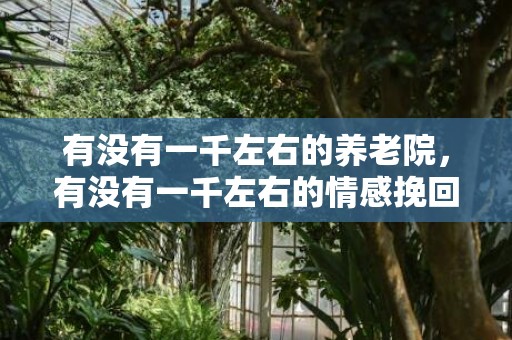 有没有一千左右的养老院，有没有一千左右的情感挽回（一千块钱的爱情是什么意思）
