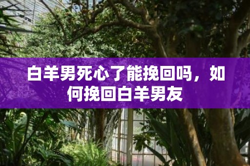 白羊男死心了能挽回吗，如何挽回白羊男友