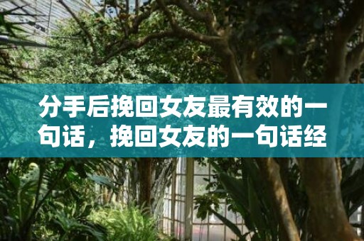 分手后挽回女友最有效的一句话，挽回女友的一句话经典语录（挽回女友的经典句子）