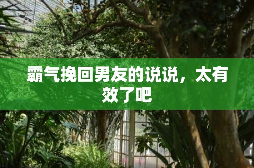 霸气挽回男友的说说，太有效了吧