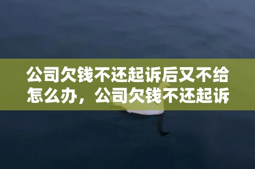 公司欠钱不还起诉后又不给怎么办，公司欠钱不还起诉书样本
