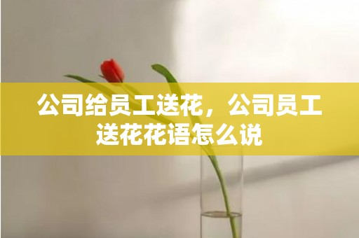 公司给员工送花，公司员工送花花语怎么说