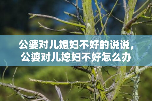 公婆对儿媳妇不好的说说，公婆对儿媳妇不好怎么办