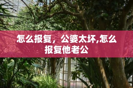 怎么报复，公婆太坏,怎么报复他老公