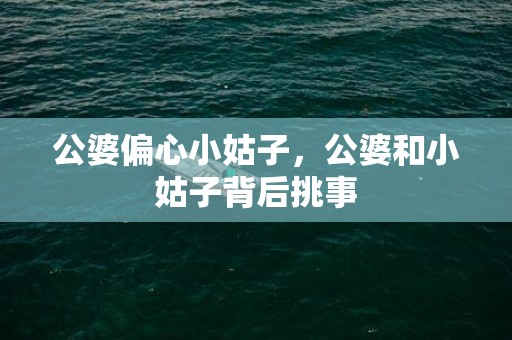 公婆偏心小姑子，公婆和小姑子背后挑事