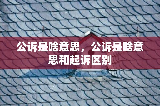 公诉是啥意思，公诉是啥意思和起诉区别