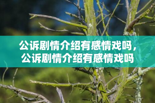 公诉剧情介绍有感情戏吗，公诉剧情介绍有感情戏吗