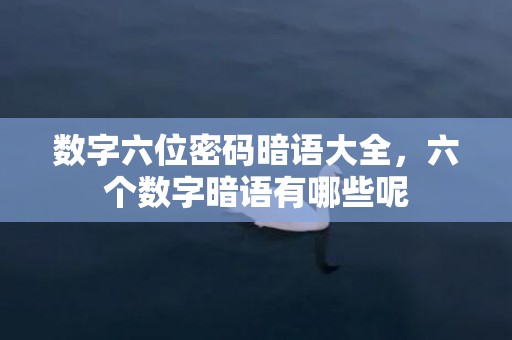 数字六位密码暗语大全，六个数字暗语有哪些呢