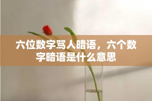 六位数字骂人暗语，六个数字暗语是什么意思
