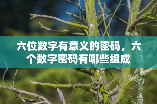 六位数字有意义的密码，六个数字密码有哪些组成