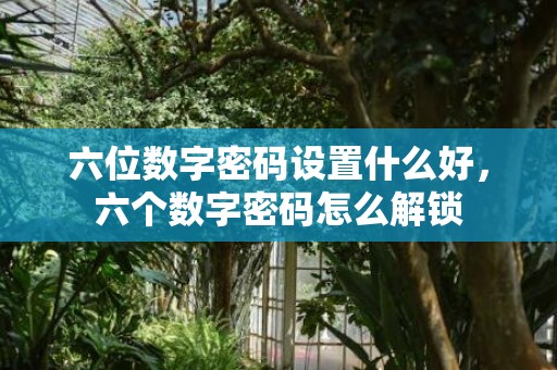 六位数字密码设置什么好，六个数字密码怎么解锁