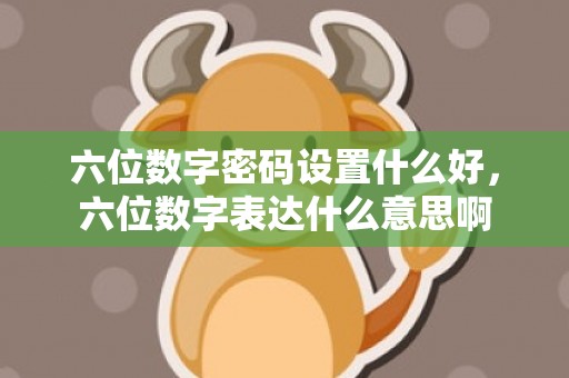 六位数字密码设置什么好，六位数字表达什么意思啊