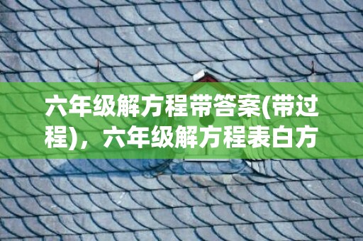 六年级解方程带答案(带过程)，六年级解方程表白方法