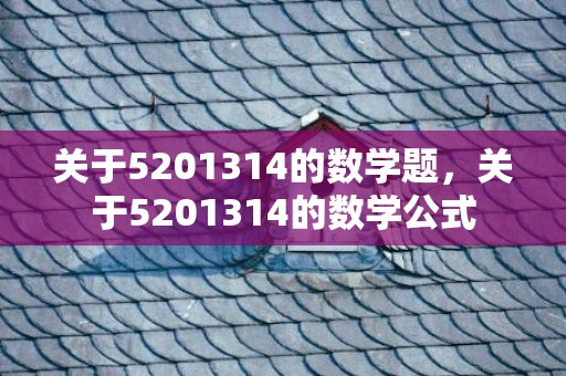 关于5201314的数学题，关于5201314的数学公式