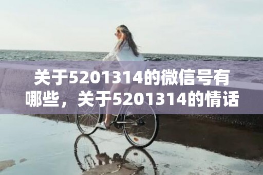 关于5201314的微信号有哪些，关于5201314的情话句子
