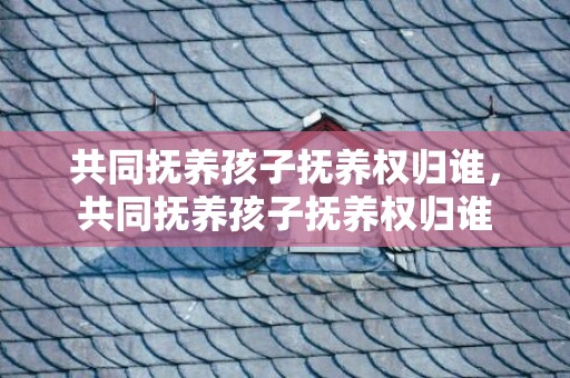 共同抚养孩子抚养权归谁，共同抚养孩子抚养权归谁