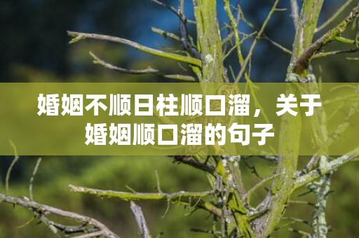 婚姻不顺日柱顺口溜，关于婚姻顺口溜的句子