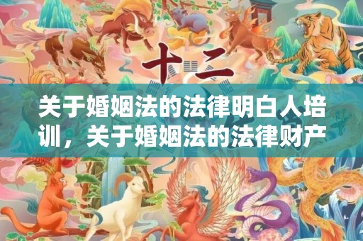 关于婚姻法的法律明白人培训，关于婚姻法的法律财产分割