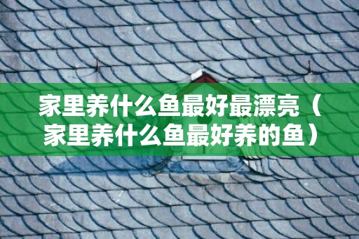 家里养什么鱼最好最漂亮（家里养什么鱼最好养的鱼）