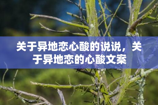 关于异地恋心酸的说说，关于异地恋的心酸文案