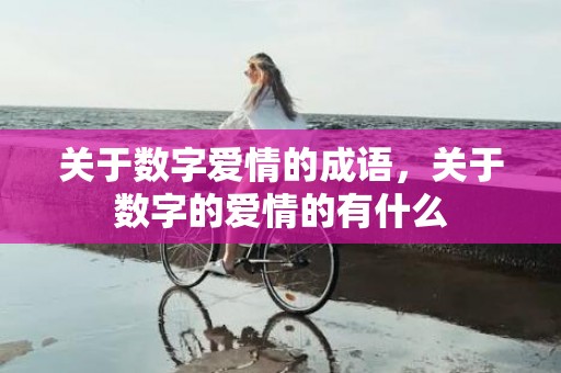 关于数字爱情的成语，关于数字的爱情的有什么