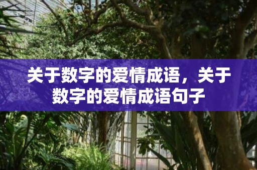 关于数字的爱情成语，关于数字的爱情成语句子