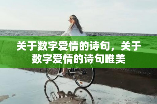 关于数字爱情的诗句，关于数字爱情的诗句唯美
