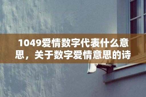 1049爱情数字代表什么意思，关于数字爱情意思的诗句