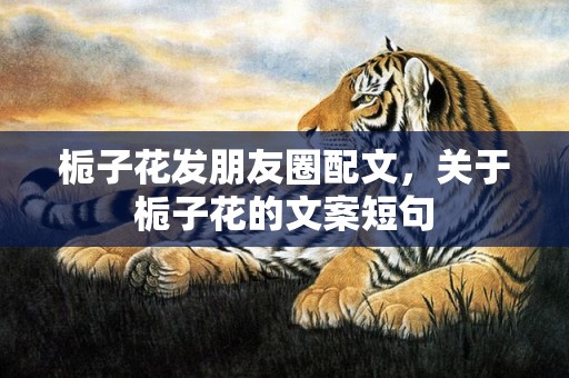 栀子花发朋友圈配文，关于栀子花的文案短句