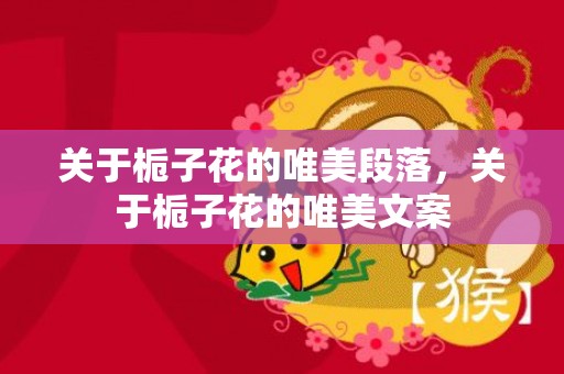 关于栀子花的唯美段落，关于栀子花的唯美文案