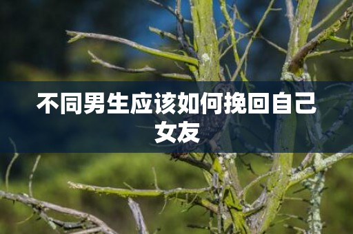 不同男生应该如何挽回自己女友