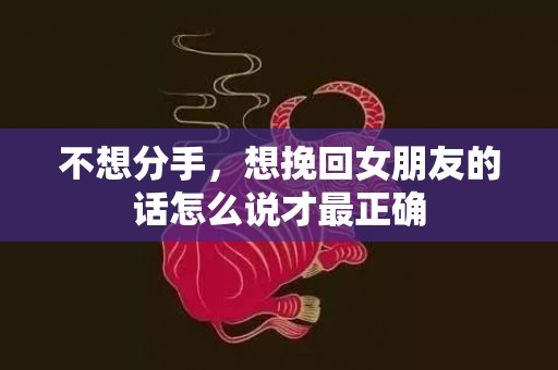 不想分手，想挽回女朋友的话怎么说才最正确